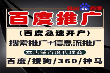 百度竞价代运营公司成功案例分析